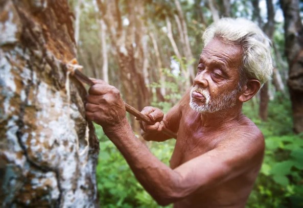 ‘අත පල්ලෙන් වැටුණු’පහතරට වතුකරය