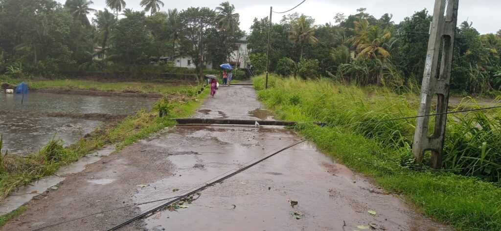 'දිත්වා' කළ හදිය