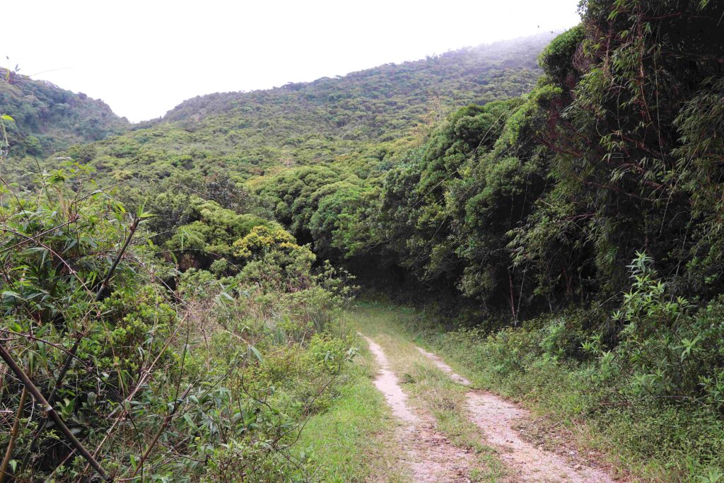 නකල්ස් ලෝක උරුම වැනසීමට ඊ. එම්.බස්නායක සහ ජගත් මනුවර්ණ යන පාර්ලිමේන්තුමන්ත්‍රිවරු සහ මැදදුම්බර ප්‍රාදේශීය ලේකම් ව්‍යාපාරිකයන් හා එක්ව නීති විරෝධී සැලසුම් අනුමත කරති