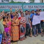 709cca89f81e4818c79a12c2a762c5b4fd2edecf