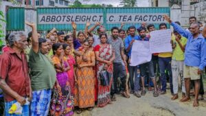 709cca89f81e4818c79a12c2a762c5b4fd2edecf