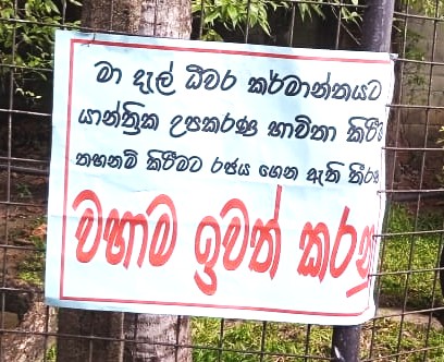 මා දැල් ධීවරයෝ තහනමට එරෙහිව අමාත්‍යංශය ඉදිරිපිට වාඩි ලා ගනී