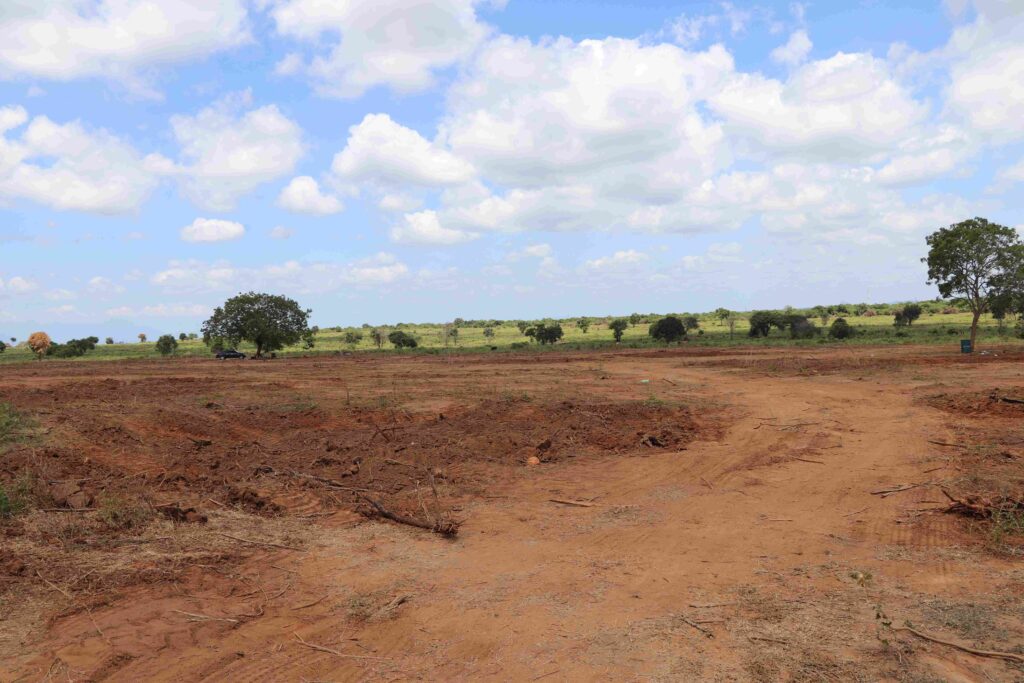 සූර්ය බලශක්ති සමාගම් අල්ලස් ලබා දී හම්බන්තොට අලි නිජබිම් වනසයි!