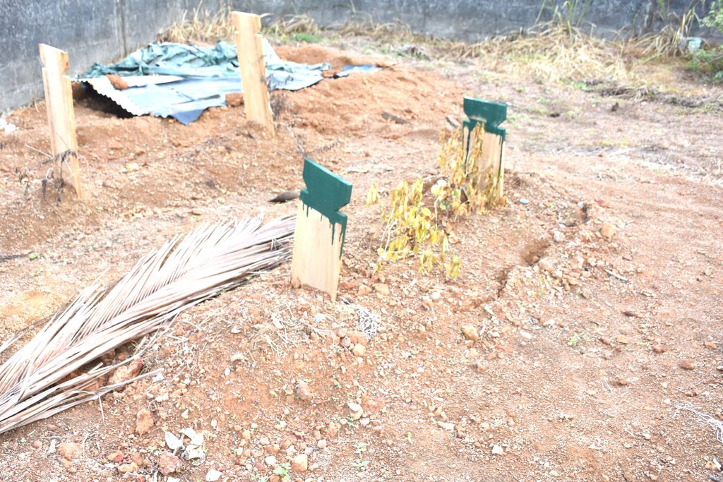 මොහොමඩ් අස්මාන්ගේ සොහොන හාරා මළ සිරුර රැගෙන ගියා දැයි ඥාතිහු සැක කරති මොහොමඩ් අස්මාන්ගේ සොහොන හාරා මළ සිරුර රැගෙන ගියා දැයි ඥාතිහු සැක කරති