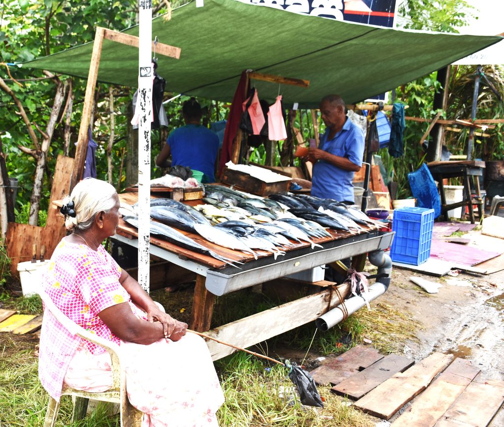 අපි මාළු රස්සාව හැර වෙනත් රස්සාවක් දන්නේ නැහැ අපි මාළු රස්සාව හැර වෙනත් රස්සාවක් දන්නේ නැහැ