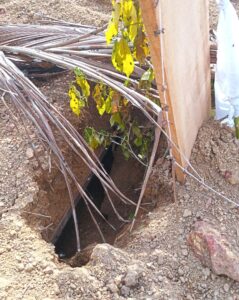 IMG-20260903-WA0023