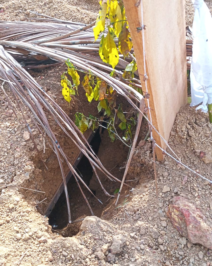 IMG-20260903-WA0023