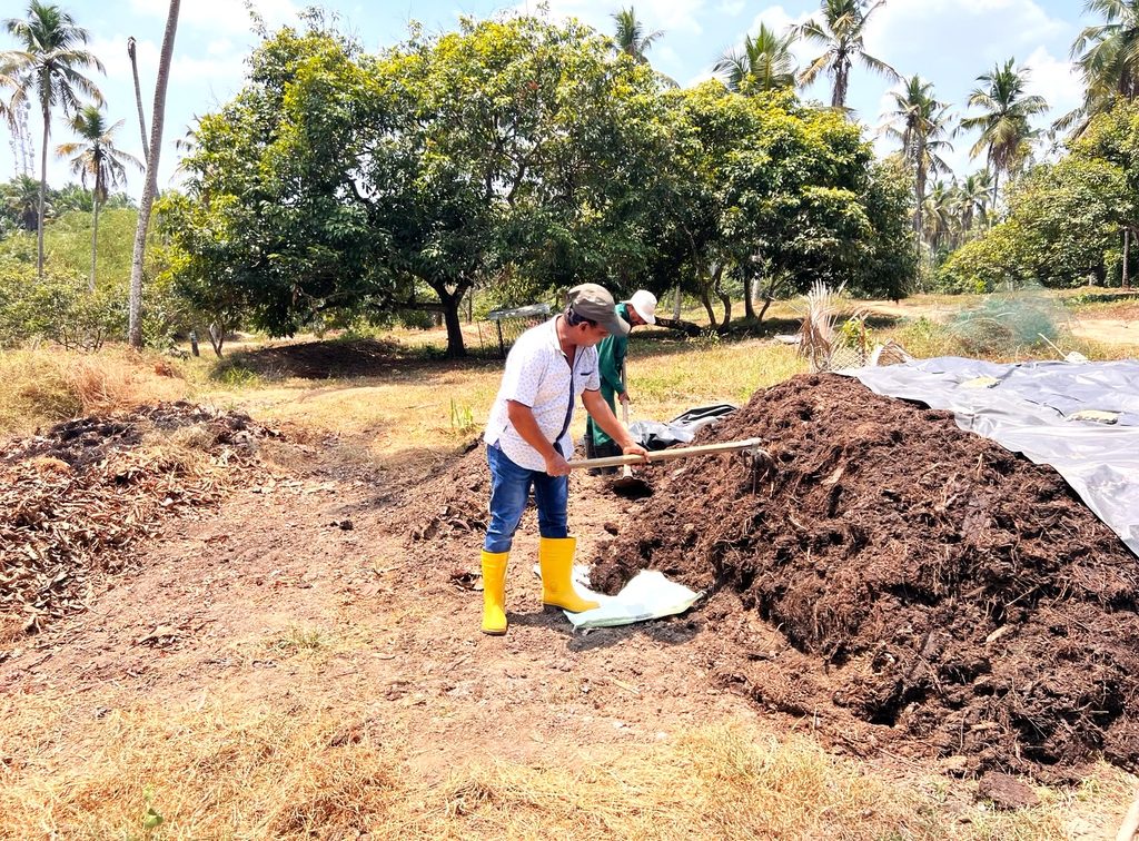 ඔස්මන්ගේ තුවක්කුව CCD යේ පල්ල ගලවයි ඔස්මන්ගේ තුවක්කුව CCD යේ පල්ල ගලවයි